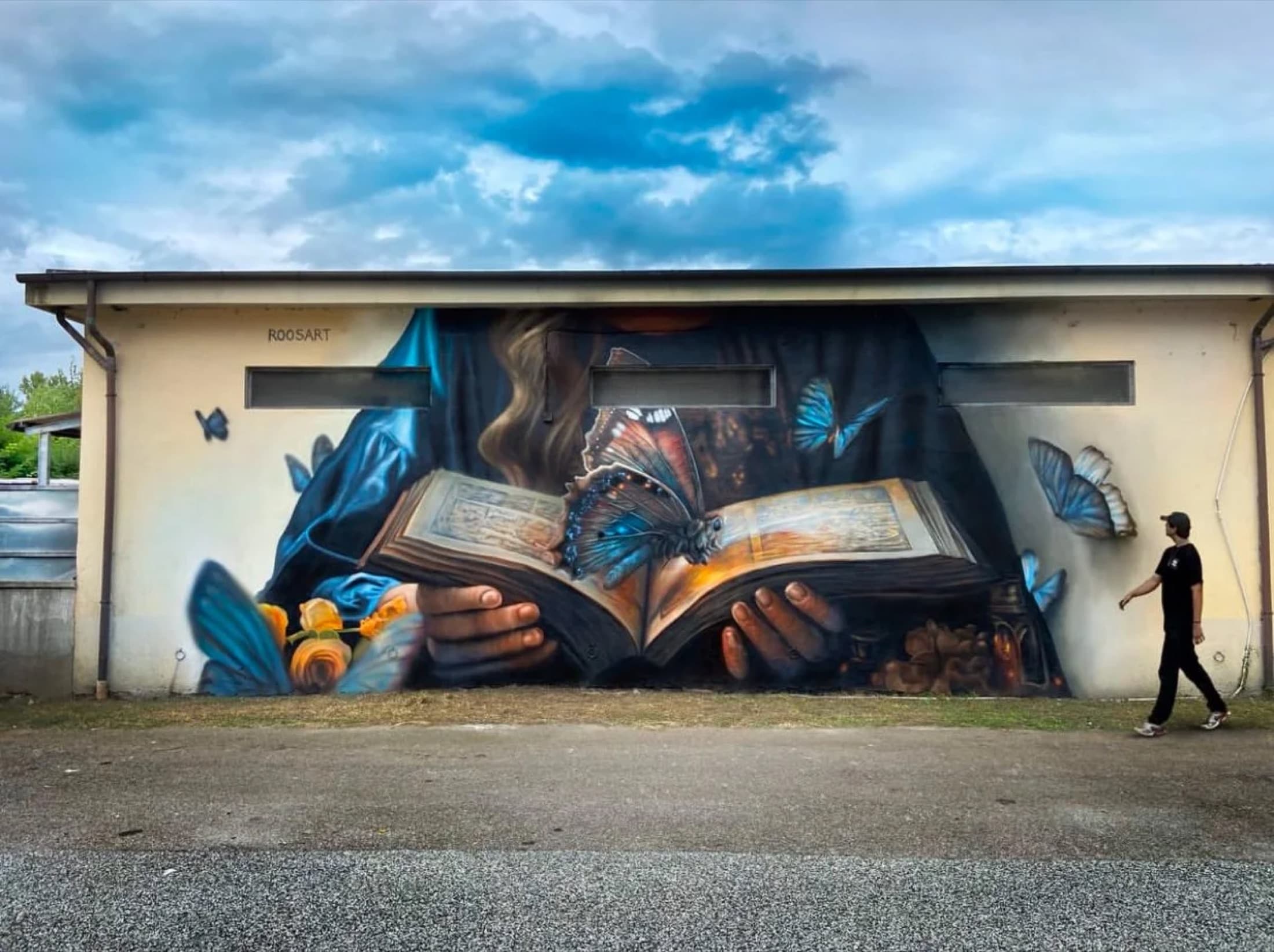 The reader